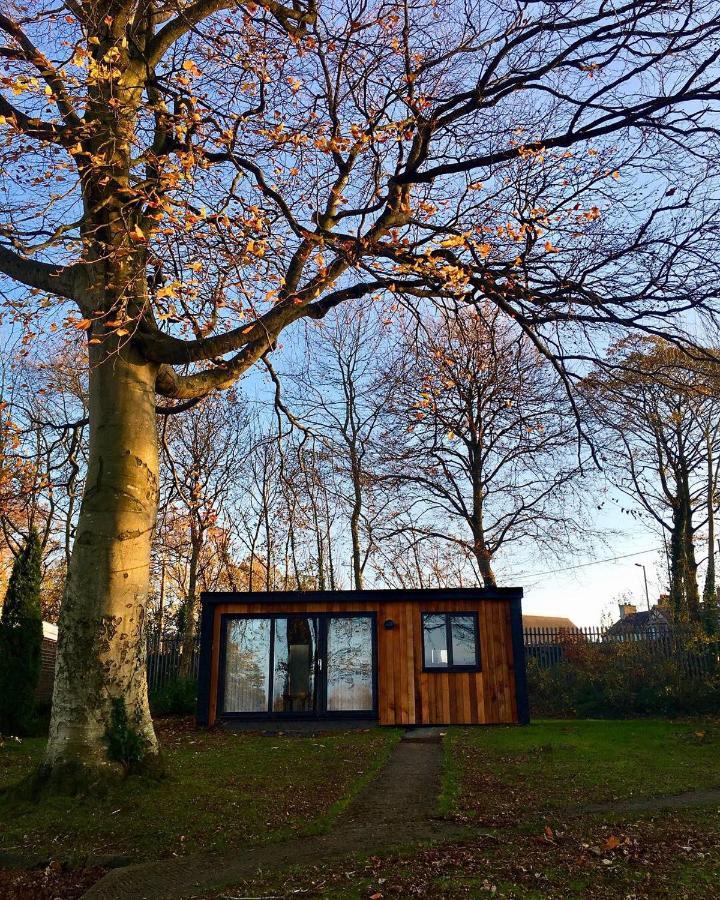 Cozy Snowdonia Chalet Caernarfon Exterior photo